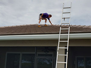 chimney inspection